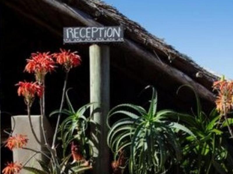 Swell Eco Lodge Lutsheni Kültér fotó